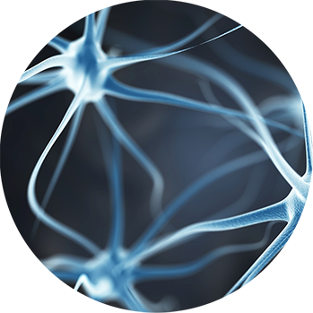 medium circle